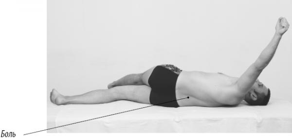 Иллюстрация к книге — Скульптурная гимнастика для мышц, суставов и внутренних органов [Autogen_eBook_id187.jpg]