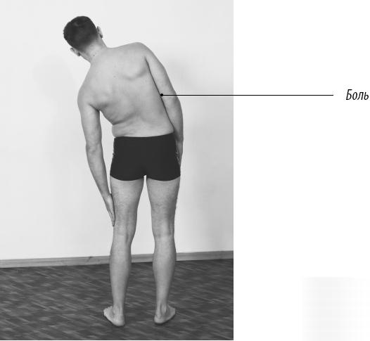 Иллюстрация к книге — Скульптурная гимнастика для мышц, суставов и внутренних органов [Autogen_eBook_id189.jpg]