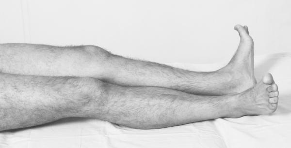 Иллюстрация к книге — Скульптурная гимнастика для мышц, суставов и внутренних органов [Autogen_eBook_id216.jpg]