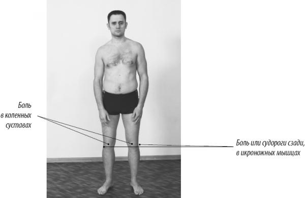 Иллюстрация к книге — Скульптурная гимнастика для мышц, суставов и внутренних органов [Autogen_eBook_id224.jpg]