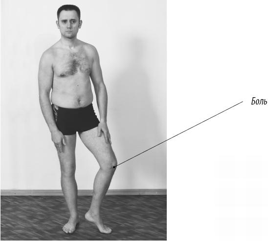 Иллюстрация к книге — Скульптурная гимнастика для мышц, суставов и внутренних органов [Autogen_eBook_id233.jpg]