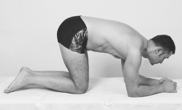 Иллюстрация к книге — Скульптурная гимнастика для мышц, суставов и внутренних органов [Autogen_eBook_id271.jpg]