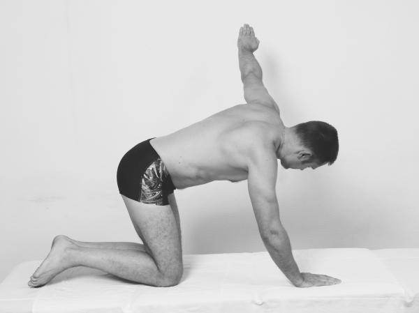 Иллюстрация к книге — Скульптурная гимнастика для мышц, суставов и внутренних органов [Autogen_eBook_id275.jpg]