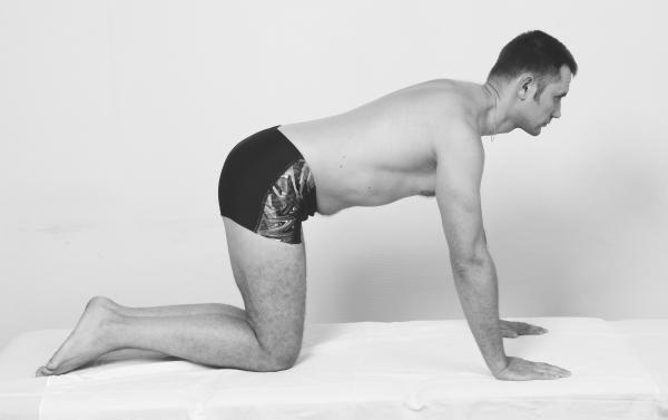 Иллюстрация к книге — Скульптурная гимнастика для мышц, суставов и внутренних органов [Autogen_eBook_id277.jpg]