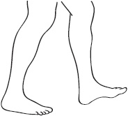 Иллюстрация к книге — Скульптурная гимнастика для мышц, суставов и внутренних органов [Autogen_eBook_id313.jpg]