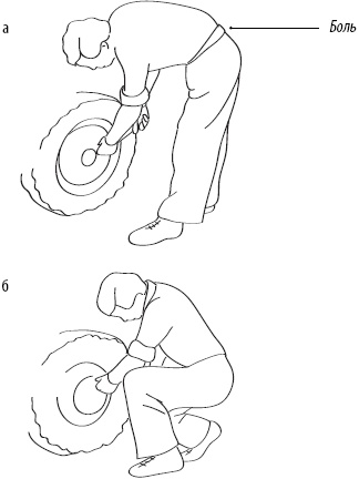 Иллюстрация к книге — Скульптурная гимнастика для мышц, суставов и внутренних органов [Autogen_eBook_id315.jpg]