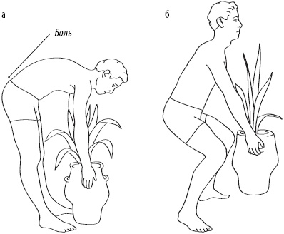 Иллюстрация к книге — Скульптурная гимнастика для мышц, суставов и внутренних органов [Autogen_eBook_id317.jpg]