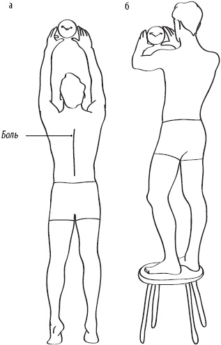 Иллюстрация к книге — Скульптурная гимнастика для мышц, суставов и внутренних органов [Autogen_eBook_id318.jpg]