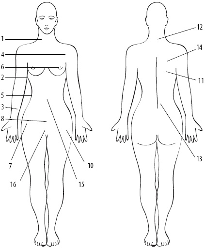 Иллюстрация к книге — Скульптурная гимнастика для мышц, суставов и внутренних органов [Autogen_eBook_id60.jpg]