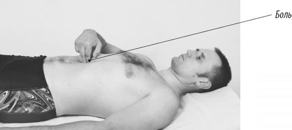 Иллюстрация к книге — Скульптурная гимнастика для мышц, суставов и внутренних органов [Autogen_eBook_id61.jpg]