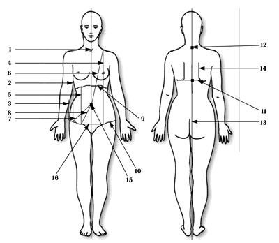 Иллюстрация к книге — Гимнастика для внутренних органов [Autogen_eBook_id0.jpg]