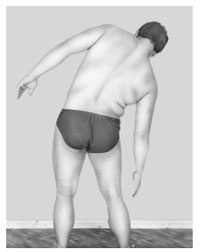 Иллюстрация к книге — Гимнастика для внутренних органов [Autogen_eBook_id33.jpg]