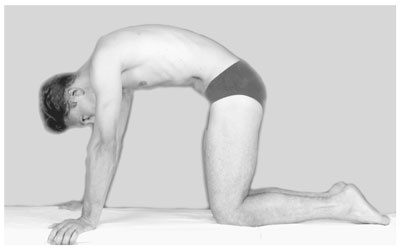 Иллюстрация к книге — Гимнастика для внутренних органов [Autogen_eBook_id62.jpg]