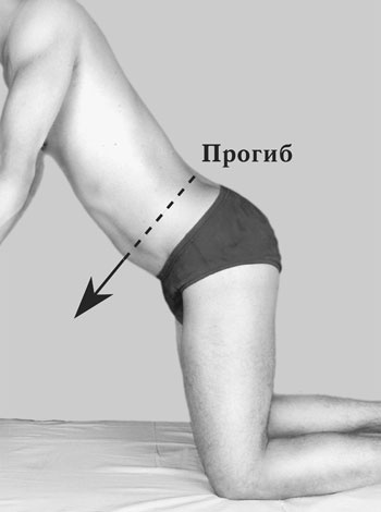 Иллюстрация к книге — Гимнастика для сосудов [Autogen_eBook_id111.jpg]