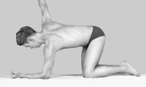 Иллюстрация к книге — Гимнастика для сосудов [Autogen_eBook_id114.jpg]