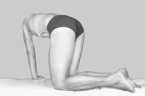 Иллюстрация к книге — Гимнастика для сосудов [Autogen_eBook_id117.jpg]