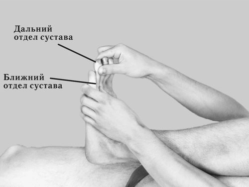 Иллюстрация к книге — Гимнастика для сосудов [Autogen_eBook_id150.jpg]