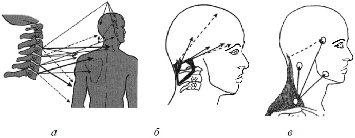 Иллюстрация к книге — Гимнастика для сосудов [Autogen_eBook_id8.jpg]