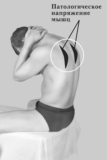 Иллюстрация к книге — Гимнастика для сосудов [Autogen_eBook_id96.jpg]