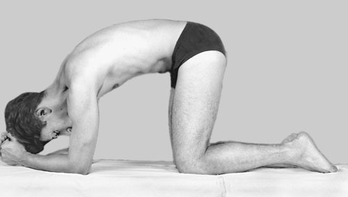 Иллюстрация к книге — Гимнастика для сосудов [Autogen_eBook_id98.jpg]