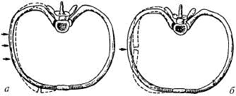Иллюстрация к книге — Человек в экстремальной ситуации [i_079.jpg]