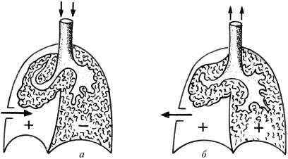 Иллюстрация к книге — Человек в экстремальной ситуации [i_089.jpg]