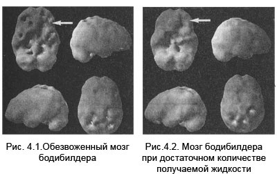Иллюстрация к книге — Измени свой мозг - изменится и тело! [i_018.jpg]