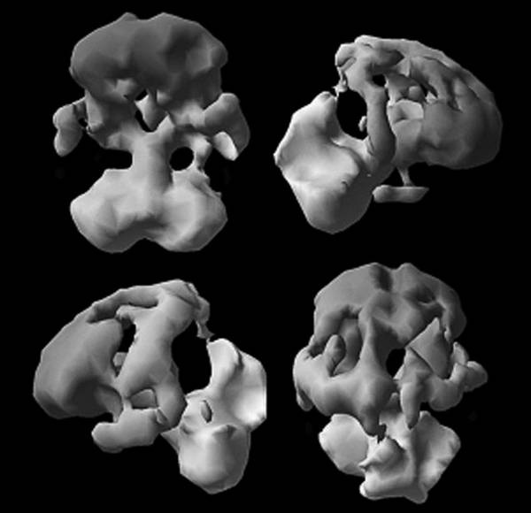 Иллюстрация к книге — Измени свой мозг - изменится и возраст! [i_002.jpg]