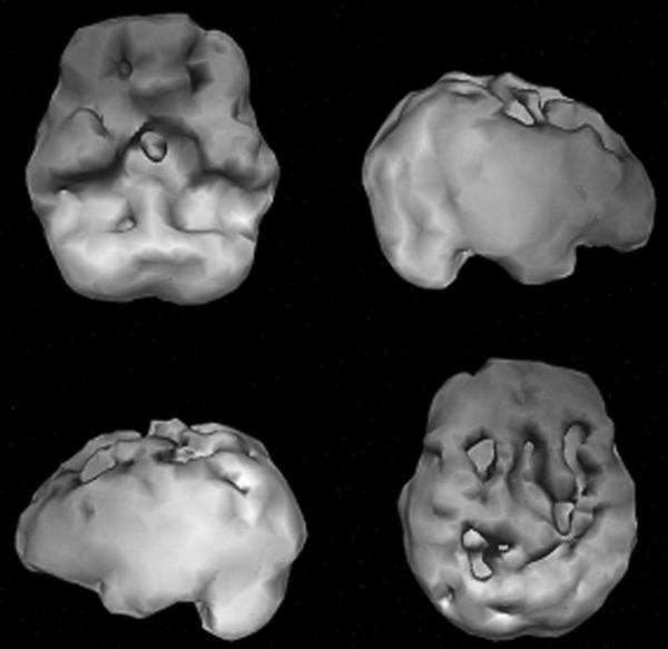 Иллюстрация к книге — Измени свой мозг - изменится и возраст! [i_003.jpg]