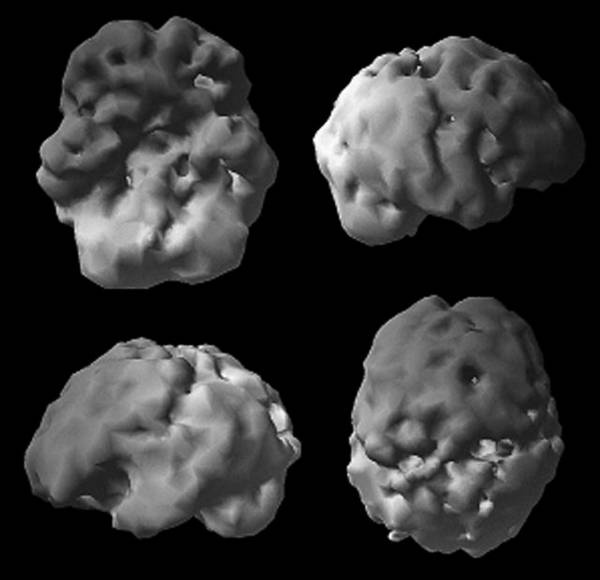 Иллюстрация к книге — Измени свой мозг - изменится и возраст! [i_004.jpg]