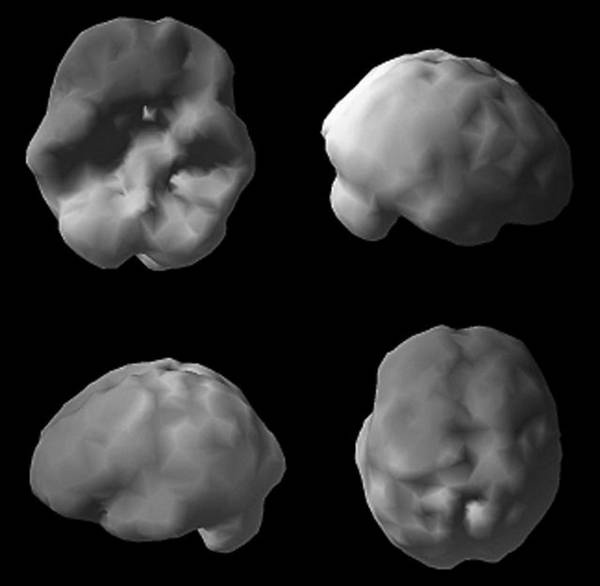 Иллюстрация к книге — Измени свой мозг - изменится и возраст! [i_005.jpg]