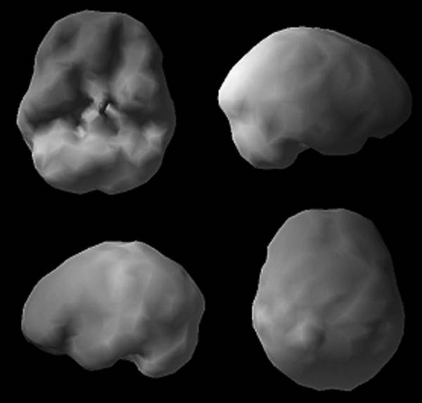 Иллюстрация к книге — Измени свой мозг - изменится и возраст! [i_011.jpg]