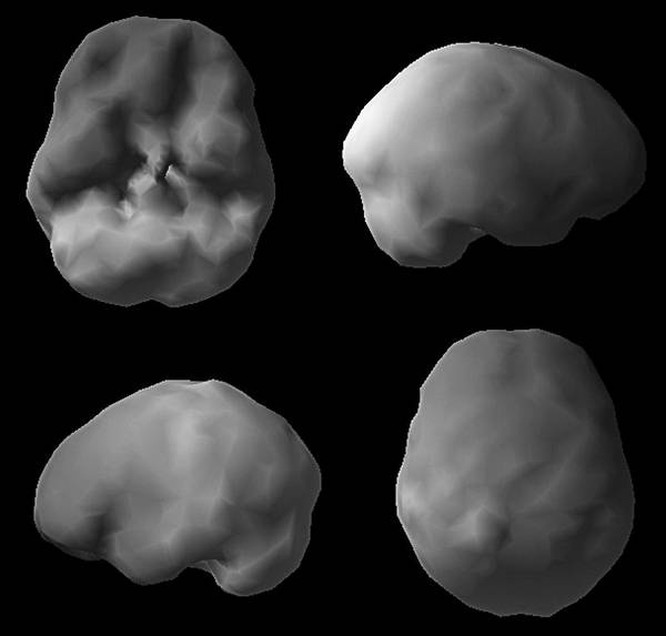 Иллюстрация к книге — Измени свой мозг - изменится и возраст! [i_015.jpg]