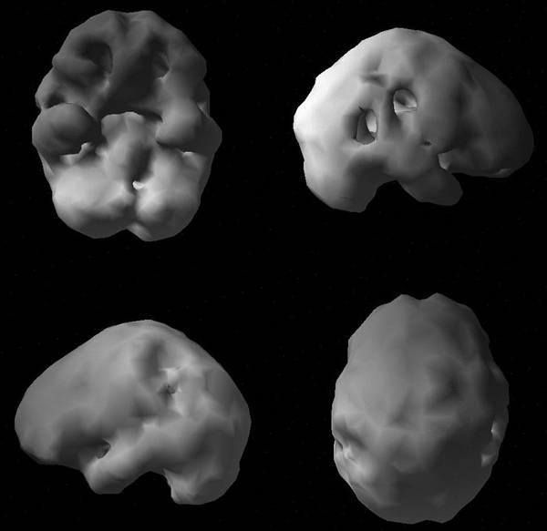 Иллюстрация к книге — Измени свой мозг - изменится и возраст! [i_016.jpg]