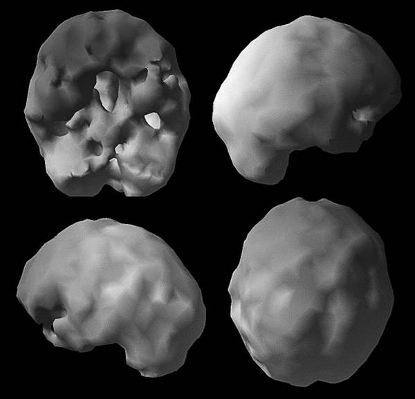 Иллюстрация к книге — Измени свой мозг - изменится и возраст! [i_021.jpg]