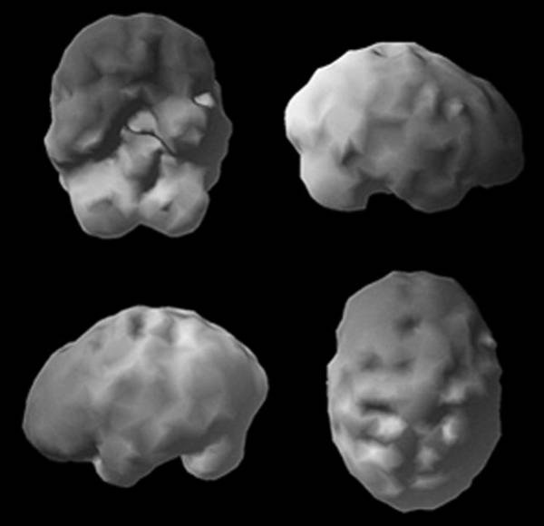 Иллюстрация к книге — Измени свой мозг - изменится и возраст! [i_034.jpg]