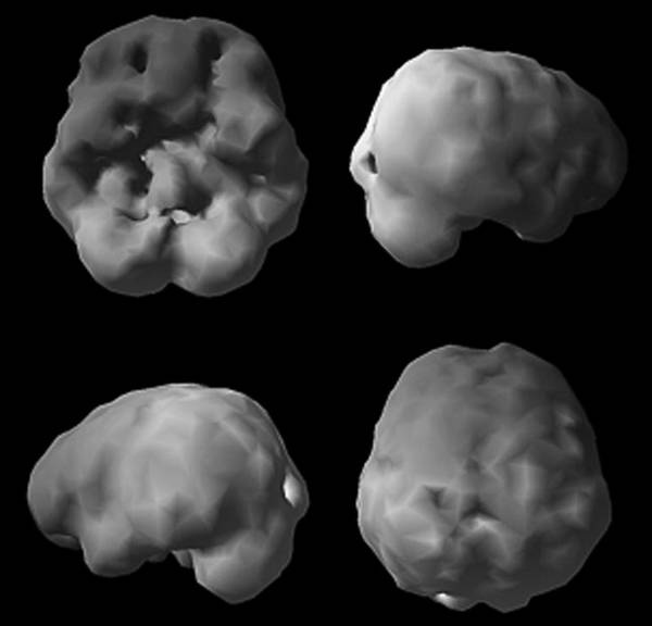 Иллюстрация к книге — Измени свой мозг - изменится и возраст! [i_041.jpg]