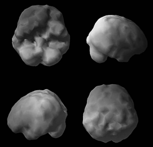 Иллюстрация к книге — Измени свой мозг - изменится и возраст! [i_042.jpg]