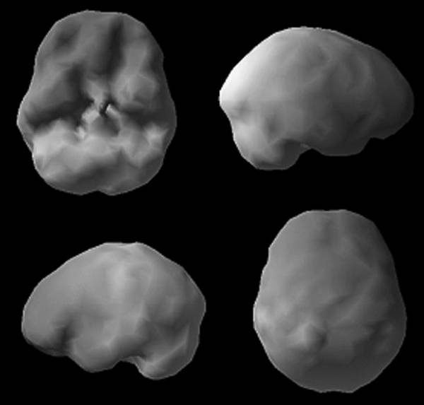 Иллюстрация к книге — Измени свой мозг - изменится и возраст! [i_054.jpg]