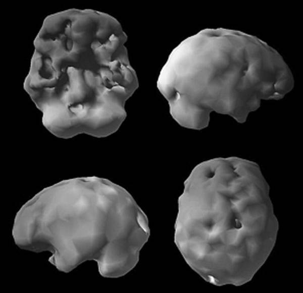 Иллюстрация к книге — Измени свой мозг - изменится и возраст! [i_070.jpg]