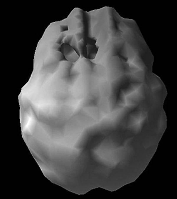 Иллюстрация к книге — Измени свой мозг - изменится и возраст! [i_076.jpg]