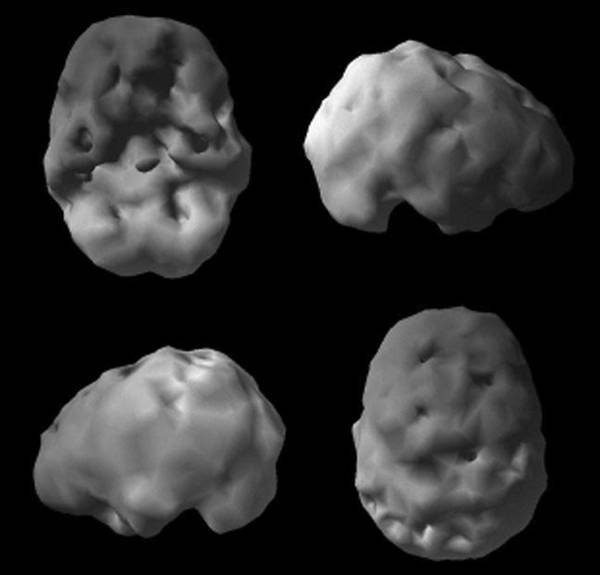 Иллюстрация к книге — Измени свой мозг - изменится и возраст! [i_079.jpg]