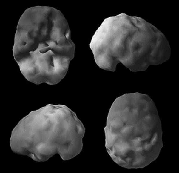 Иллюстрация к книге — Измени свой мозг - изменится и возраст! [i_080.jpg]