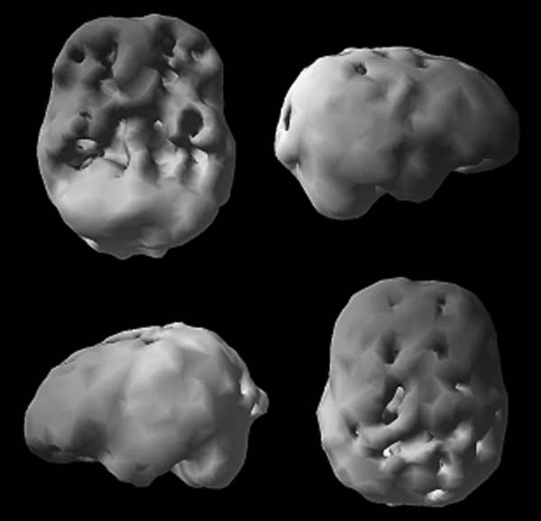 Иллюстрация к книге — Измени свой мозг - изменится и возраст! [i_084.jpg]