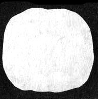 Иллюстрация к книге — Измените свой мозг - изменится и жизнь! [i_006.jpg]