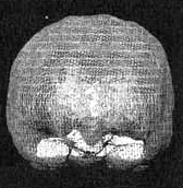 Иллюстрация к книге — Измените свой мозг - изменится и жизнь! [i_011.jpg]