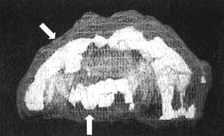 Иллюстрация к книге — Измените свой мозг - изменится и жизнь! [i_028.jpg]
