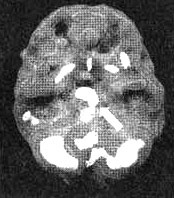 Иллюстрация к книге — Измените свой мозг - изменится и жизнь! [i_032.jpg]