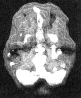 Иллюстрация к книге — Измените свой мозг - изменится и жизнь! [i_040.jpg]