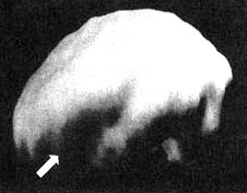 Иллюстрация к книге — Измените свой мозг - изменится и жизнь! [i_043.jpg]